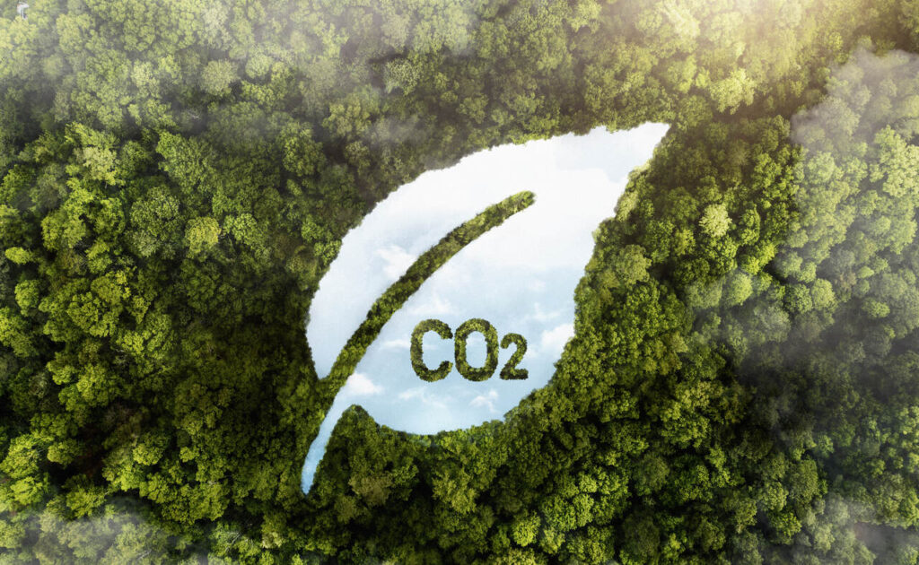 Perspectivas para o mercado de crédito de carbono no Brasil em 2025