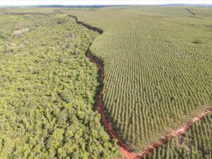 Monitoramento de mais de 1,7 milhão de hectares detecta focos de incêndio em tempo real