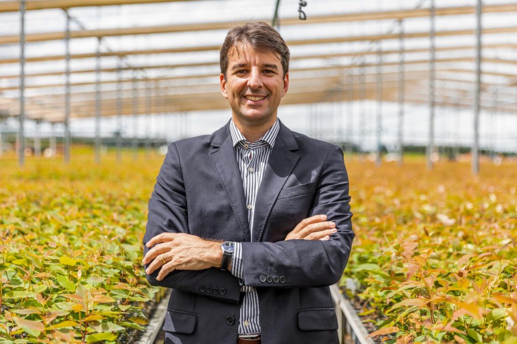 Setor florestal brasileiro aproveita COP30 para reforçar o reconhecimento global e a sustentabilidade 
