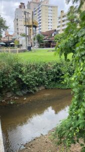 No Dia Mundial da Água saneamento transforma a qualidade da água em Blumenau