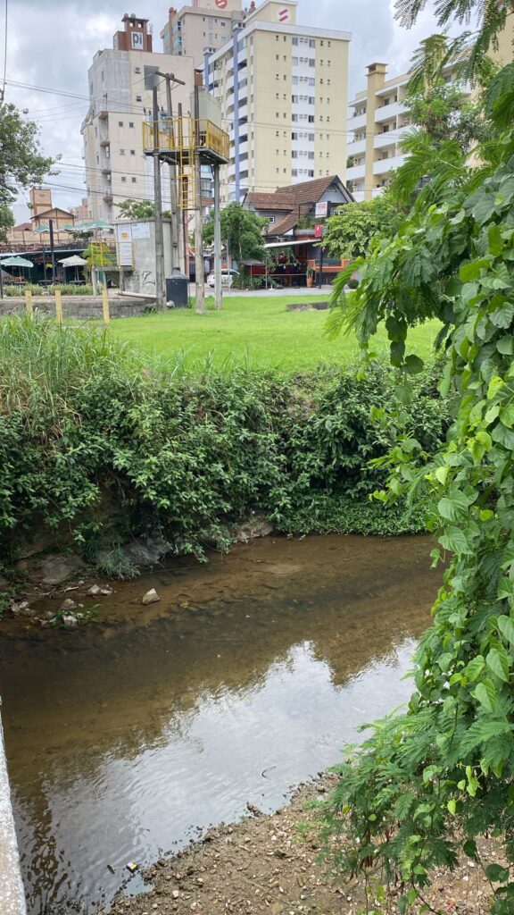 No Dia Mundial da Água saneamento transforma a qualidade da água em Blumenau