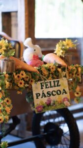 Hotel fazenda em Santa Catarina aposta em tradições e vivências no campo